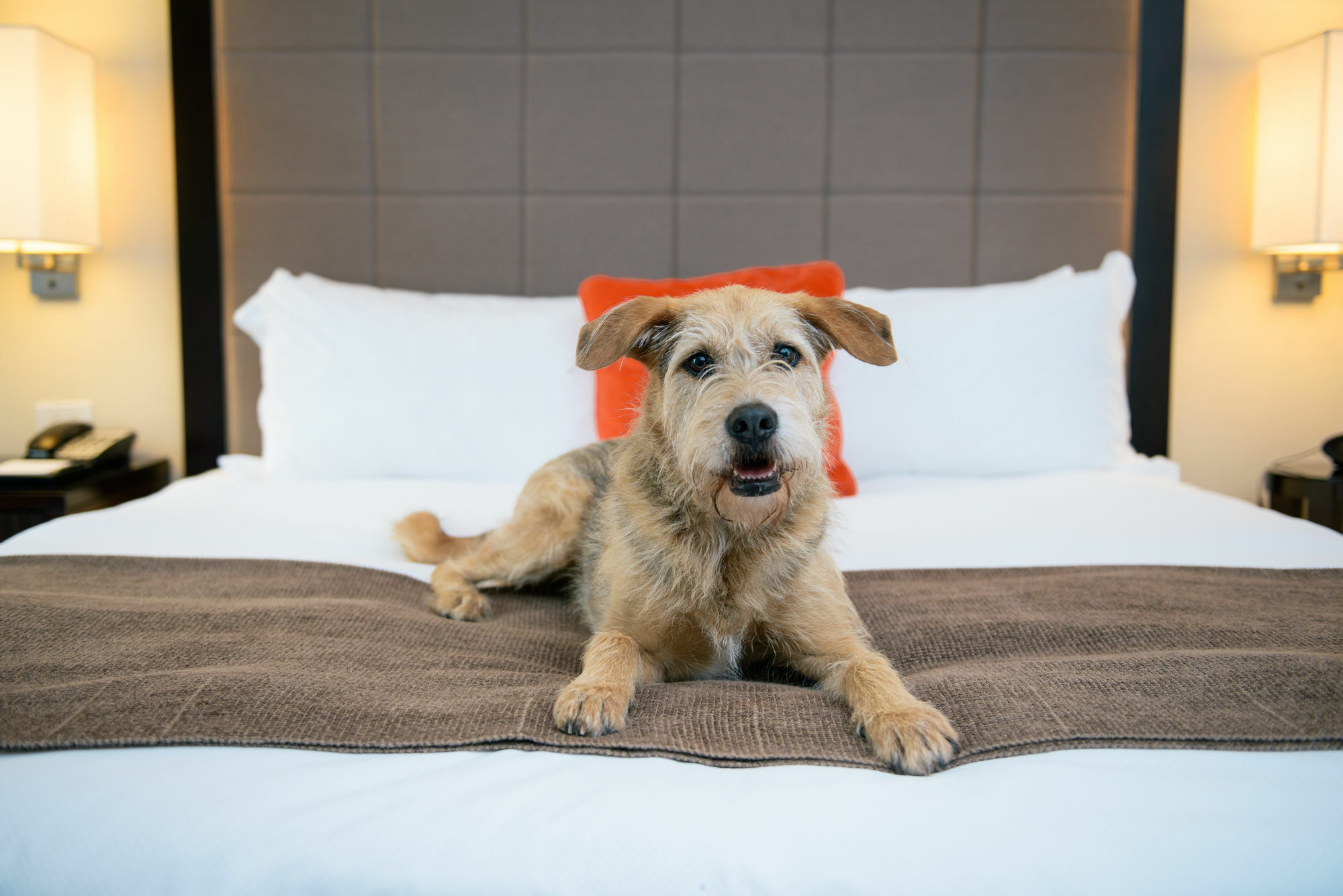 Candlewood Suites Charleston-Northwoods By Ihg North Charleston Eksteriør billede